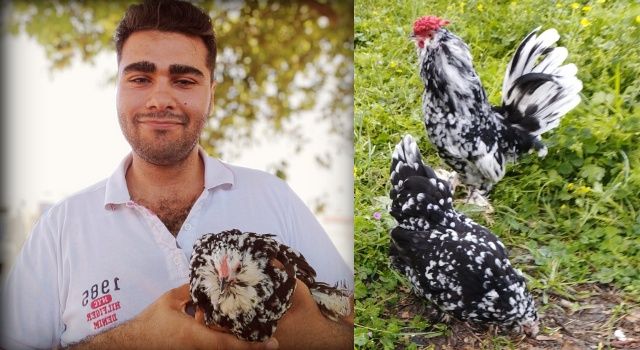 Genç Girişimci İbrahim Erkan: Süs Tavukçuluğuna Gönül Veren Bir Sağlık Çalışanı