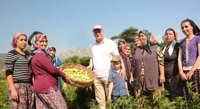 Dünya Kadın Çiftçiler Günü'nde Kadın Gücü Vurgusu