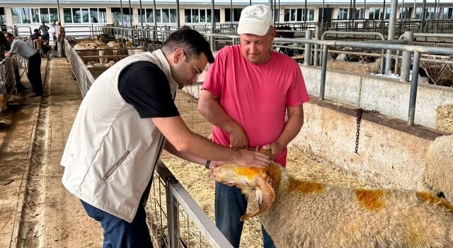 Kars Veteriner Hekimleri Odası’ndan Dünya Gıda Günü Mesajı: Gıda Güvenliği ve Veteriner Hekimlerin Hayati Rolü