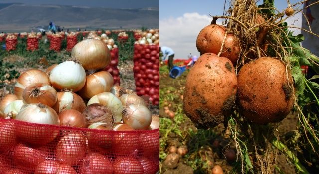 Patates ve Kuru Soğan Üreticileri İçin Acil Çözüm Çağrısı