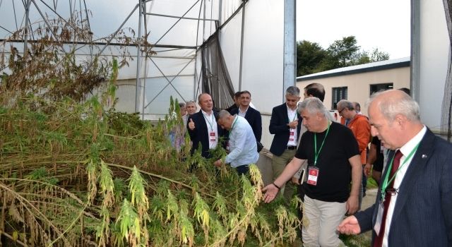 Samsun’da Bitkisel Üretim ve Bitki Sağlığı Bölge Toplantısı Gerçekleştirildi