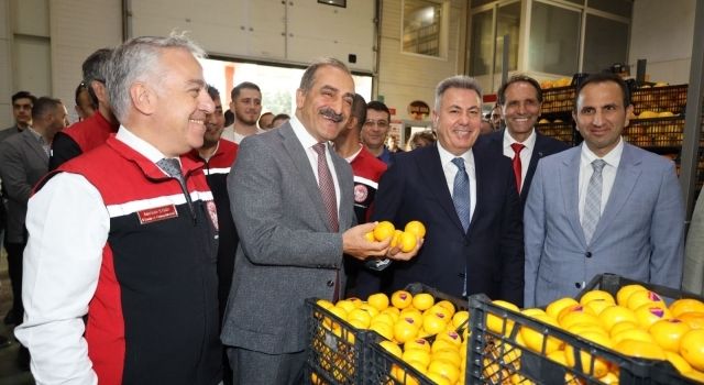 Satsuma mandalina yüklü TIR’lar ihracata yolcu edildi