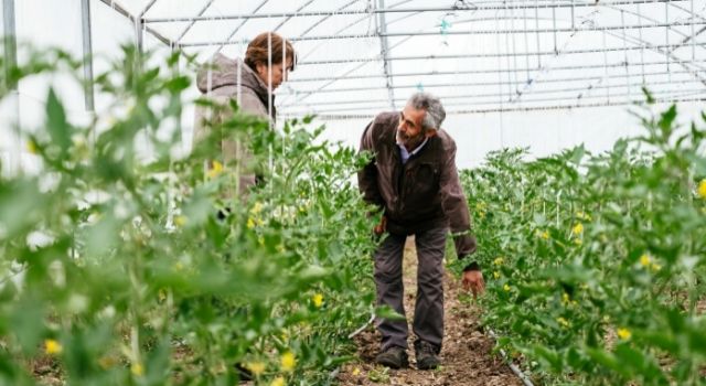 Kayseri’de Organik Tarımın Öncüsü: Yeşim Bekyürek