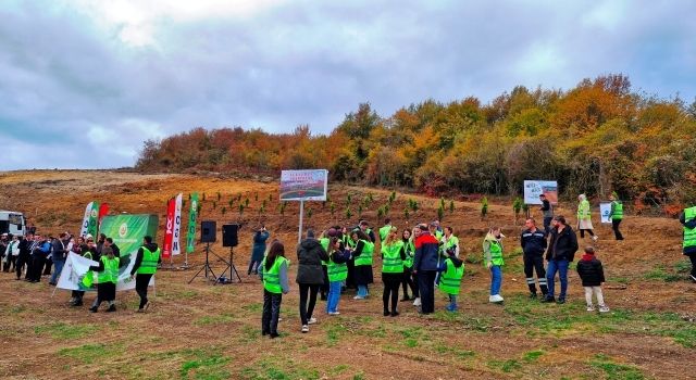 Samsun’da Milli Ağaçlandırma Günü: 100 Bin Fidan Toprakla Buluştu