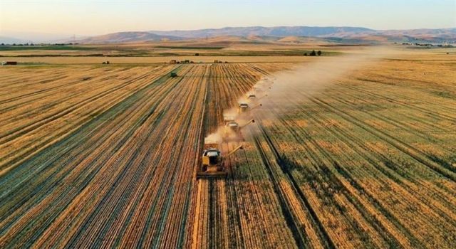 Tarım Ve Orman Bakanlığı’ndan “33 Soruda Planlı Üretim” Rehberi