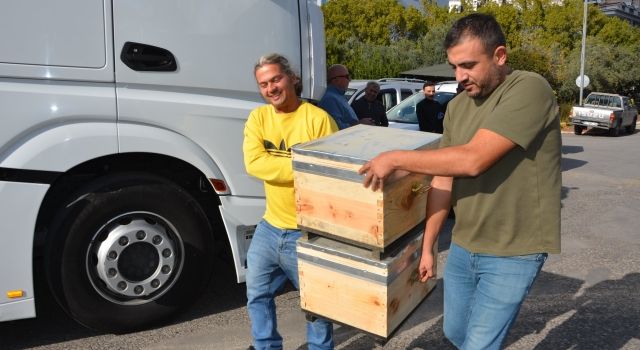 Büyükşehir Belediyesi Alanyalı bal üreticilerine arı kovanı hibe etti