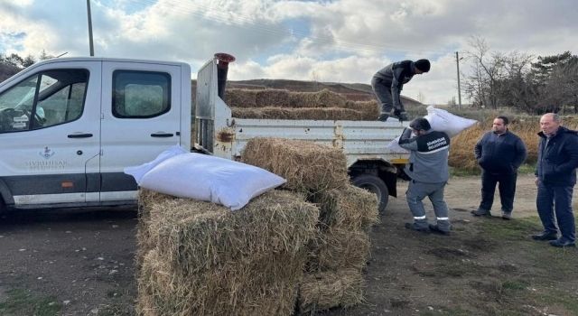 Büyükşehir’den Yetiştiricilere Yem Desteği