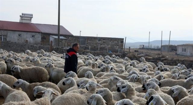 Kars'ta "Köyümde Yaşamak İçin Bir Sürü Nedenim Var Projesi" Başarısı