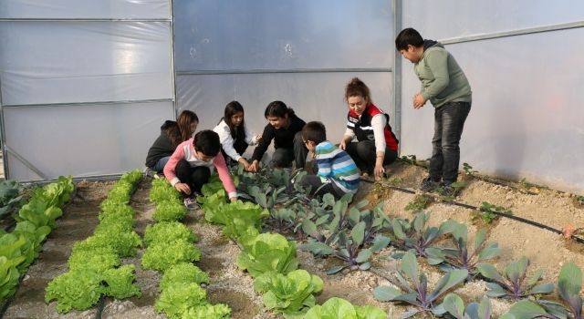 Kırsal Mahallelerin Çocukları Tarımla Buluşuyor: ‘Okuldaki Çiftlik' Projesi’