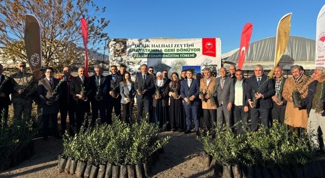 Mardin’de Zeytin Fidanı Dağıtım Projesi İle Tarımsal Üretim Destekleniyor