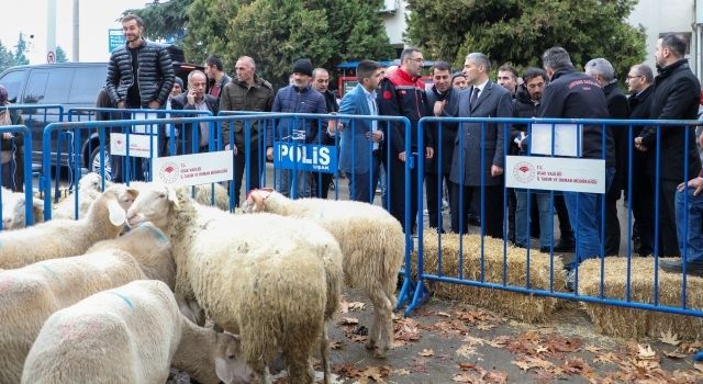 Uşak’ta Eşme Koyunu ve Küçükbaş Hayvan Yetiştiriciliğine Destek Projeleri