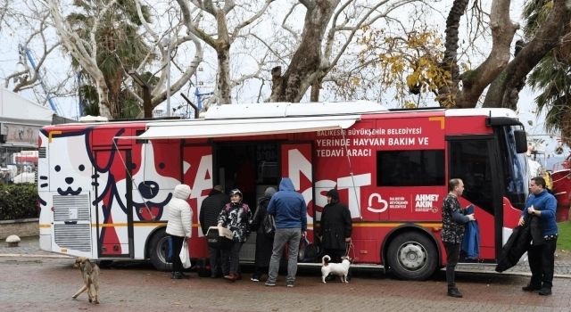 Balıkesir’in Mobil Şefkati: Can Dost ile Patili Dostlar Sağlığına Kavuşuyor