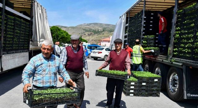 Başkentli Üreticilere 2024'te Tohumdan Fideye, Mazottan Gübreye Tam Destek