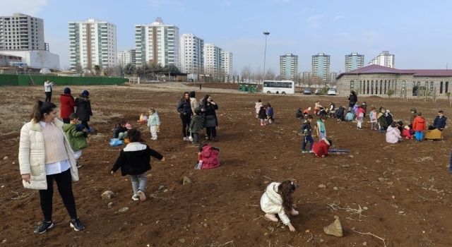 Çocuklar meşe tohumlarını toprakla buluşturdu