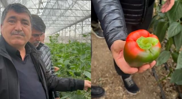 İran’daki Seralar Türkiye’yi Nasıl Zorluyor? Nevzat Akcan Anlattı