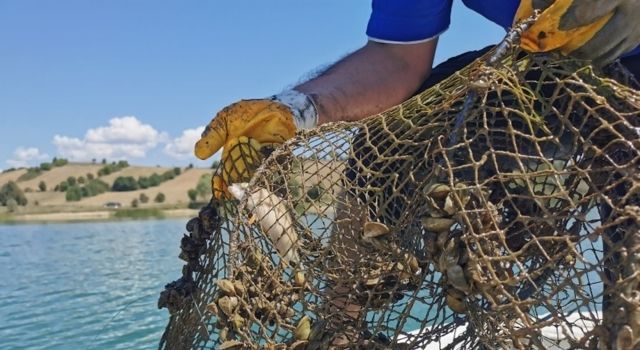 Kastamonu'da Sürdürülebilir Balıkçılık İçin Denetimler Aralıksız Devam Ediyor