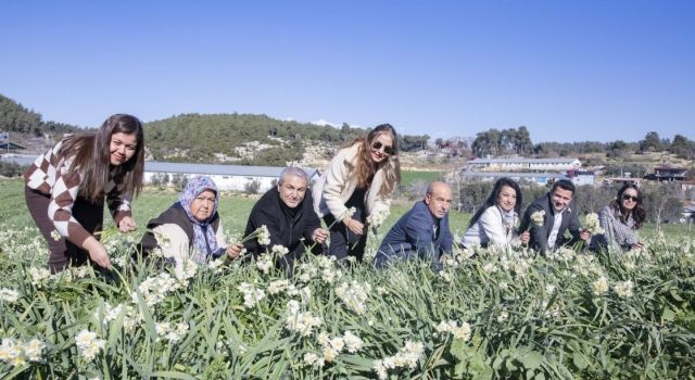 Mersin’de Mis Kokan Nergis Şenliği: Coşku ve Eğlence Bir Arada