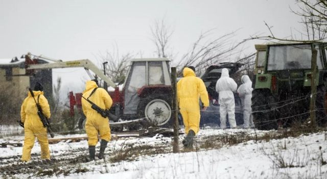 Rusya ve Belarus, Almanya'dan Hayvancılık Ürünleri İthalatını Yasakladı