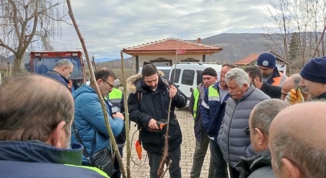 Turhal İlçe Tarım ve Orman Müdürlüğü Budama Kursu Düzenledi