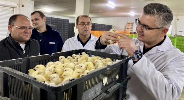 Türkiye’nin En Büyük Broiler Kuluçkahanesinde Üretim Tam Kapasite Devam Ediyor