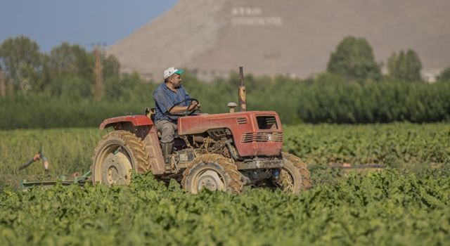 Türkşeker'den Çiftçilere 373 Milyon TL Nakliye Desteği