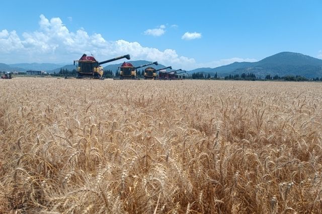 Çiftçilere 2,25 Milyar TL Destekleme Ödemesi Yapılacak