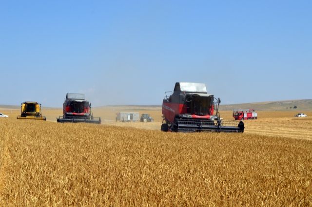 Çiftçilere 4,3 Milyar Liralık Destekleme Ödemesi