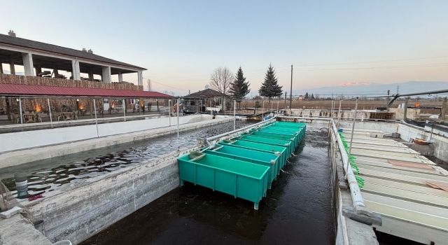 Erzincan'da Su Ürünleri Üretiminde Büyük İvme: Sektörün Geleceği Parlıyor