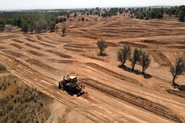 İsrail Tarımı Tehlikede: Çiftçiler Destek Bekliyor