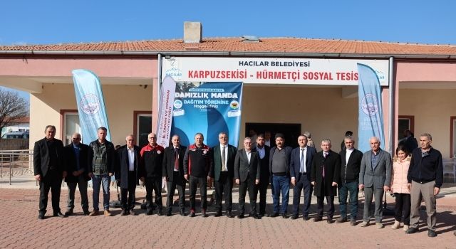 Manda Yetiştiriciliğine Özel Destek: 100 Damızlık Manda Sahiplerini Buldu