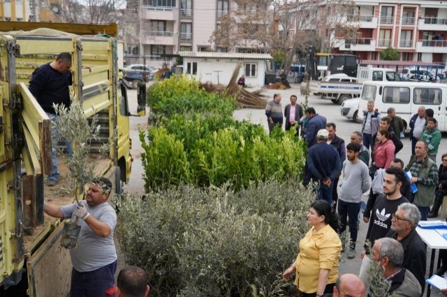 Milas Belediyesi'nden Üreticilere %50 Hibeli Fidan Desteği!