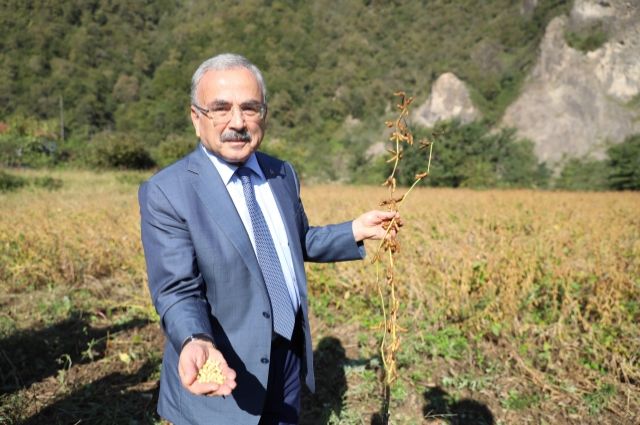 Ordu Büyükşehir Belediyesi'nden Çiftçilere Tohum, Fide ve Fidan Desteği