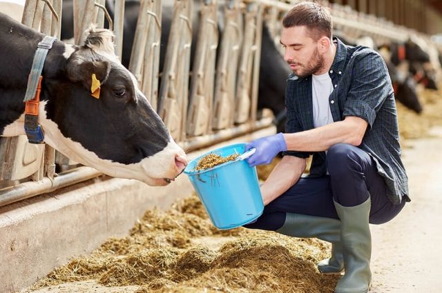 Tarımda Yeni Destek Dönemi: Yatırımlara %50 Hibe Desteği!