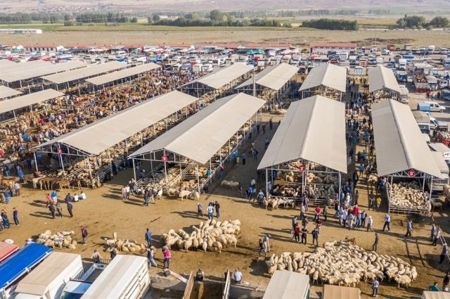 Türkiye’nin En Büyük Hayvan Pazarı Geçici Olarak Kapatıldı