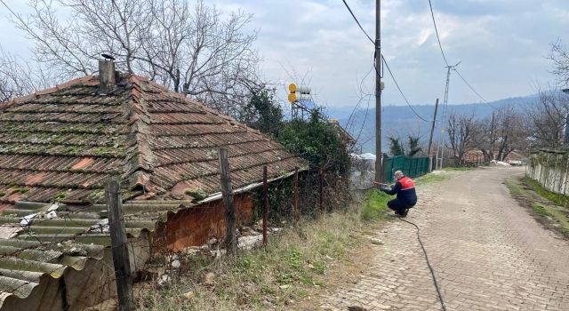 Yalova'da Kahverengi Kokarca ile Mücadele Devam Ediyor