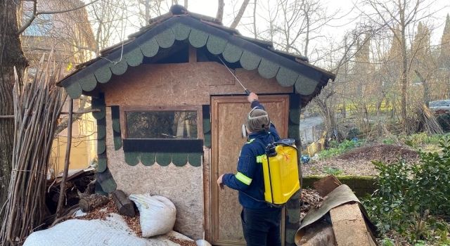 Zonguldak'ta Kahverengi Kokarca Tehdidi: Vatandaşlardan ve Çiftçilerden Destek Bekleniyor