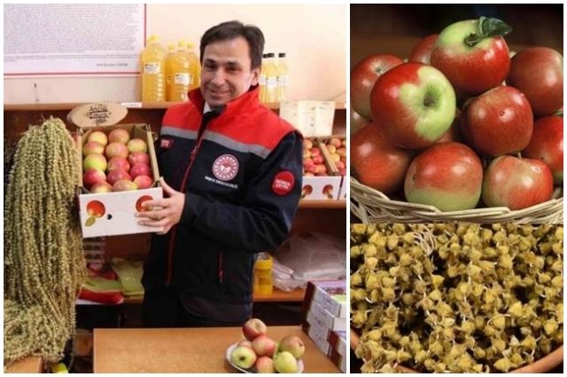 Amasya'nın Misket Elması ve Çiçek Bamyasına AB Tescili Yolda