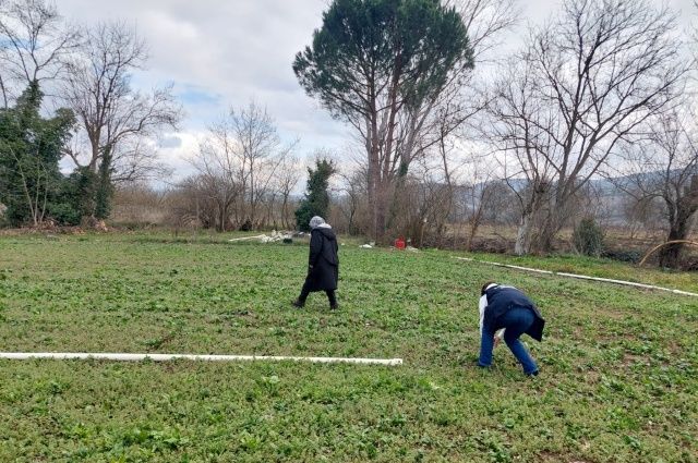 Çanakkale’de Pyrrolizidine Alkoloid İçeren Yabancı Otlarla Mücadele Başladı