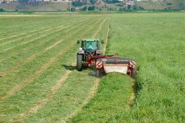 Çiftçiler Dikkat: ÇKS Değişiklik Başvuruları İçin Son Günler!