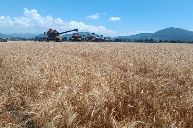 Çiftçilere 3,3 Milyar TL Destekleme Ödemesi