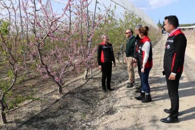 Çukurova Don Vurdu: 10 İlçede Hasar Tespiti Başladı!