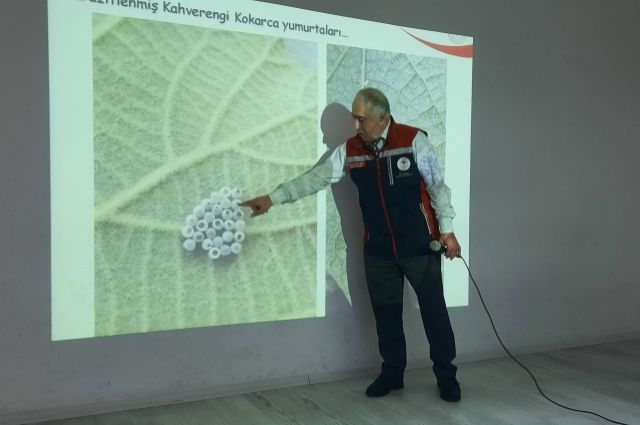 İstanbul’da Kahverengi Kokarca ile Mücadele İçin Bilgilendirme Çalışmaları Sürüyor