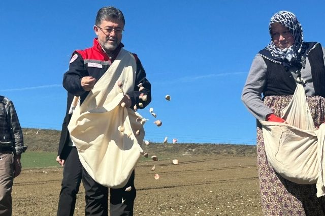 Kadın Çiftçiler Sarımsak Ekimi Yaptı, Bakan Yumaklı Destek İçin Yanlarındaydı