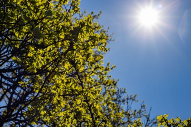 Meteoroloji: Yurt Genelinde Yağış Yok