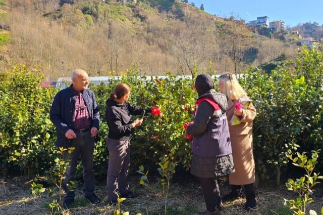 Rize'de Fide ve Fidan Satışlarına Sıkı Denetim