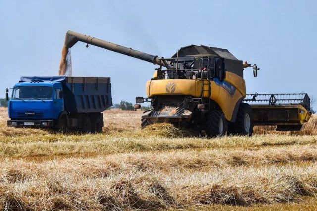 Rusya'nın Tahıl İhracatında Düşüş: Avrupa'ya Fiyat Rekabetinde Kayıp