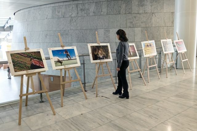 Tarım ve İnsan Bursa'da Buluştu: 14. Fotoğraf Sergisi Açıldı!