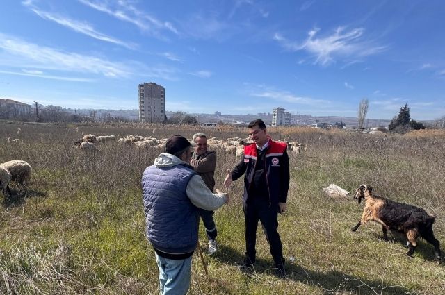 Tekirdağ'da Çobanlara Müjde: 77 Bin TL Destek!