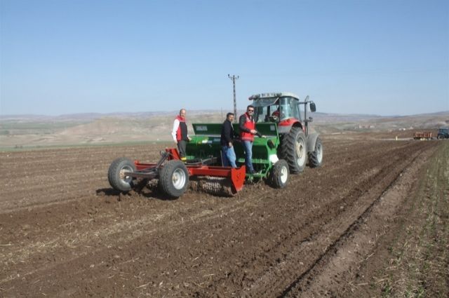 Yozgat'ta Yerli Mercimek Tohumu Yaygınlaştırılıyor: Demonstrasyon Ekimleri Başladı