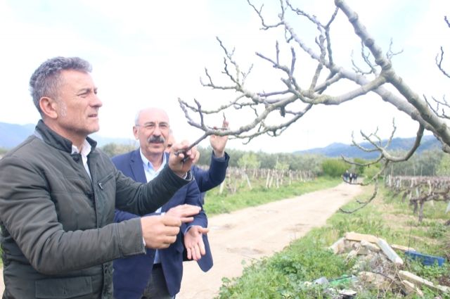 CHP'li Sarıbal: “2025 Tarımda Kriz Yılı, Çiftçi Tarlada Yalnız, Tüketici Pazarda Çaresiz Kalacak”